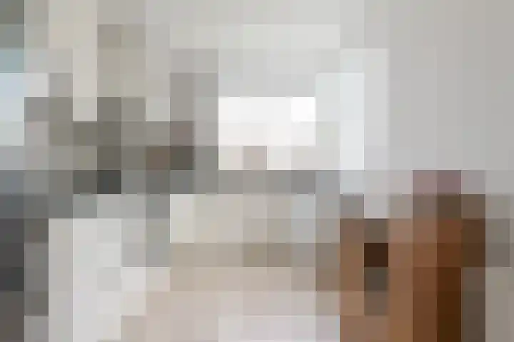 Beukenlaan 15 Alphen aan den Rijn thumbnail 23