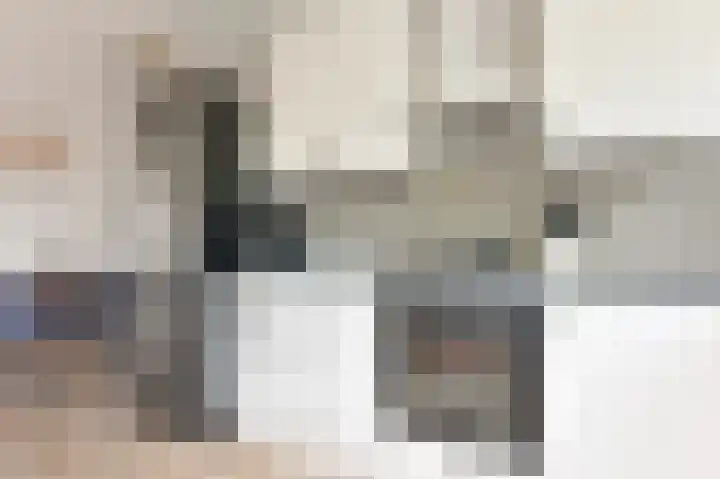 Beukenlaan 15 Alphen aan den Rijn thumbnail 24