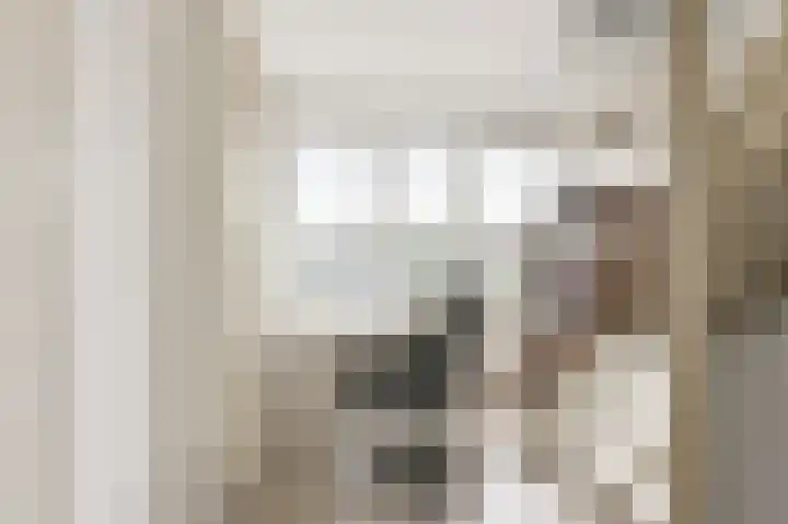 Beukenlaan 15 Alphen aan den Rijn thumbnail 28