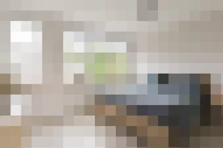 Beukenlaan 15 Alphen aan den Rijn thumbnail 30