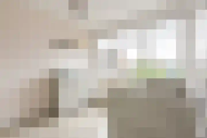 Beukenlaan 15 Alphen aan den Rijn thumbnail 35