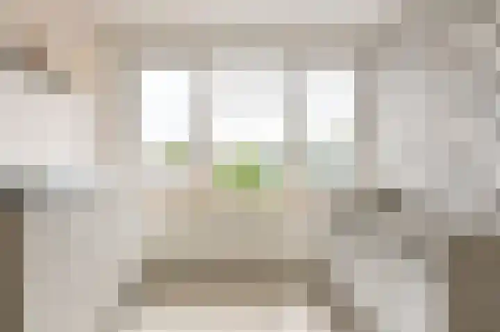 Beukenlaan 15 Alphen aan den Rijn thumbnail 36