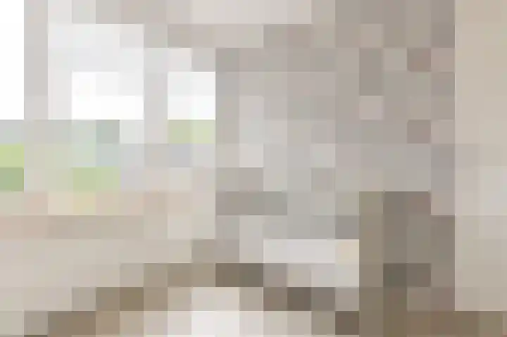 Beukenlaan 15 Alphen aan den Rijn thumbnail 37