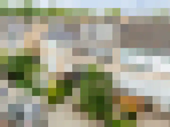 Beukenlaan 15 Alphen aan den Rijn thumbnail 4