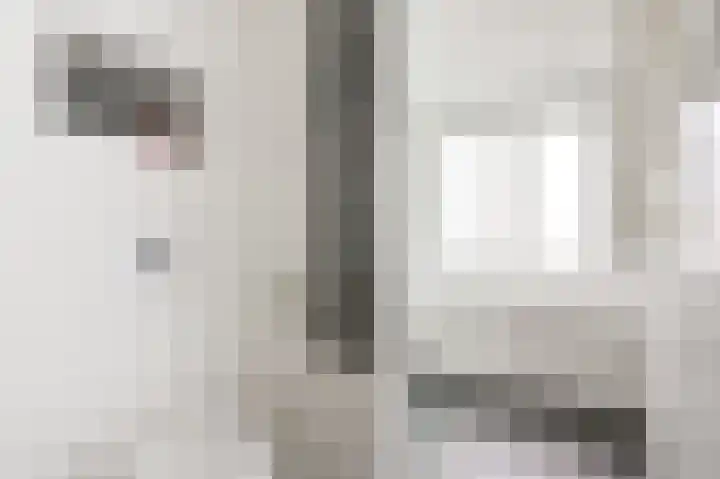 Beukenlaan 15 Alphen aan den Rijn thumbnail 41