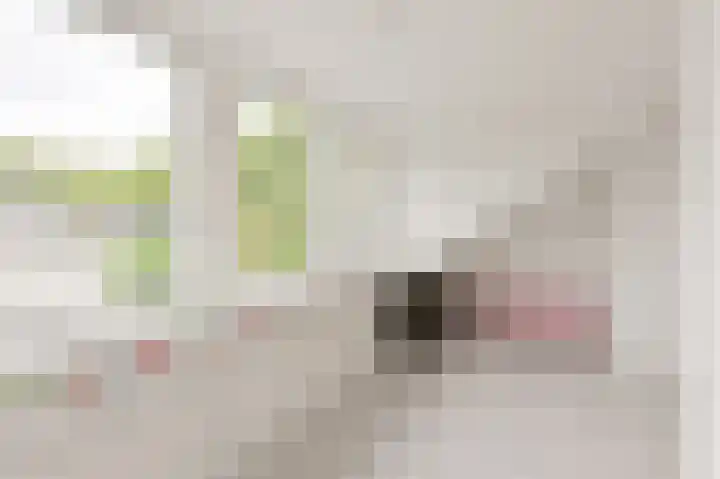 Beukenlaan 15 Alphen aan den Rijn thumbnail 46