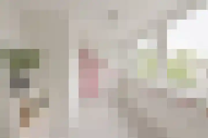 Beukenlaan 15 Alphen aan den Rijn thumbnail 49