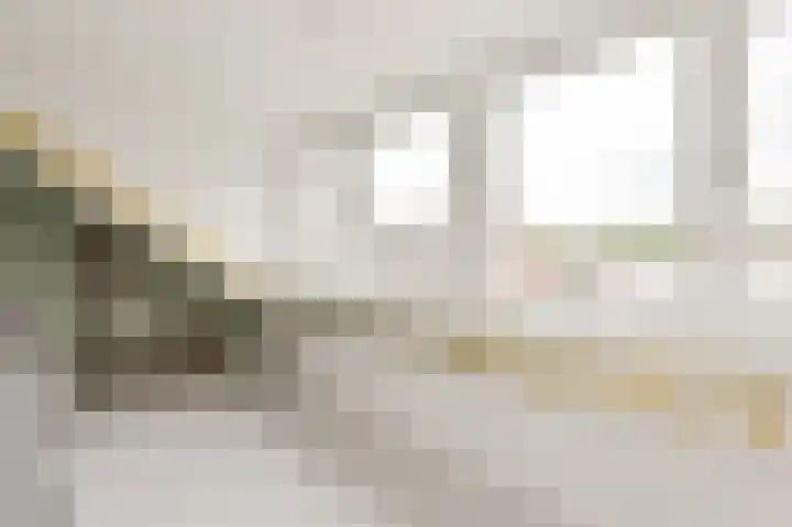 Beukenlaan 15 Alphen aan den Rijn thumbnail 52
