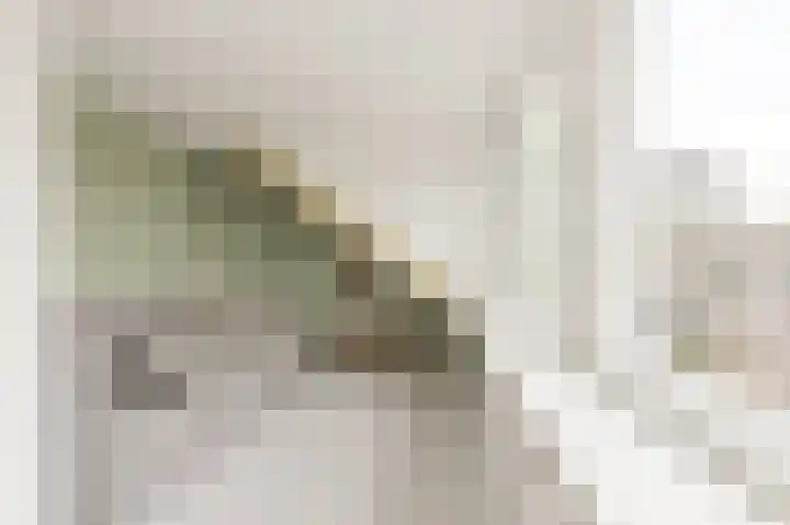 Beukenlaan 15 Alphen aan den Rijn thumbnail 53
