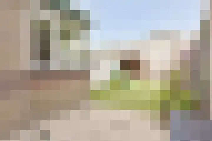 Beukenlaan 15 Alphen aan den Rijn thumbnail 57