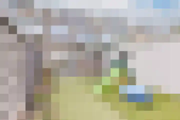 Beukenlaan 15 Alphen aan den Rijn thumbnail 58