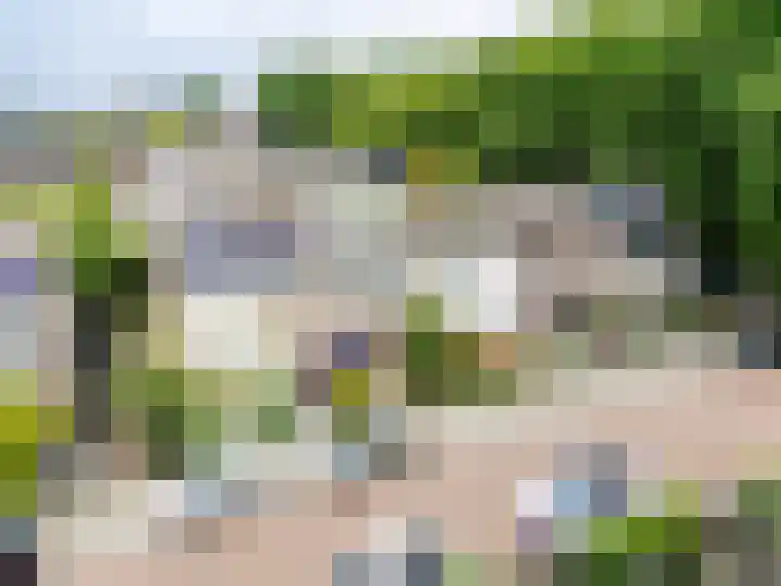 Beukenlaan 15 Alphen aan den Rijn thumbnail 6