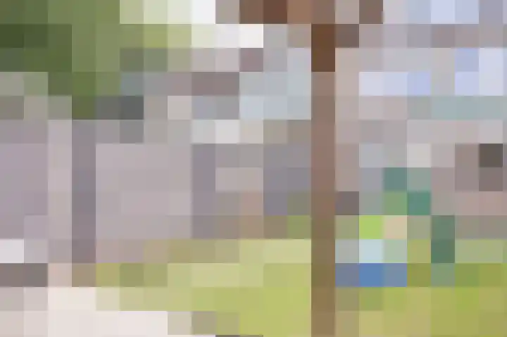 Beukenlaan 15 Alphen aan den Rijn thumbnail 60