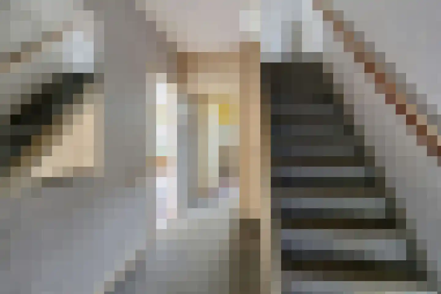 Beukenlaan 15 Etten-Leur thumbnail 13
