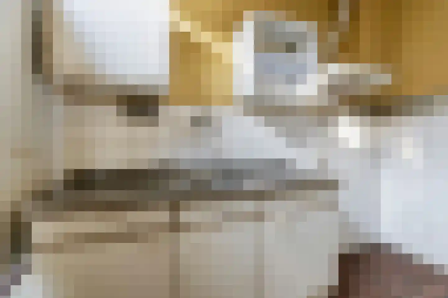 Beukenlaan 15 Etten-Leur thumbnail 19