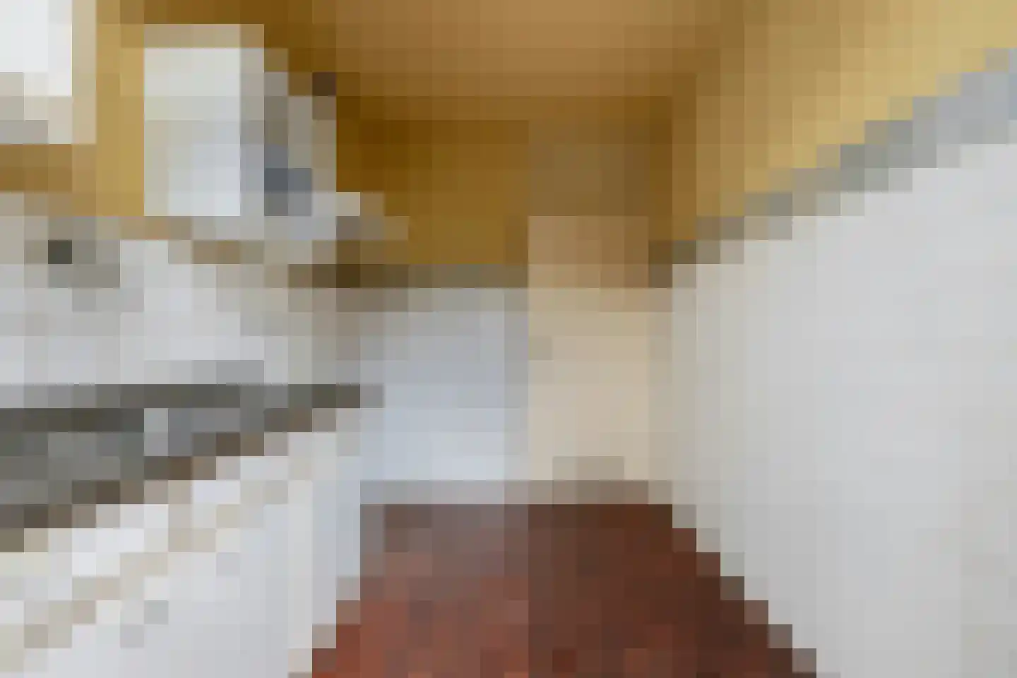 Beukenlaan 15 Etten-Leur thumbnail 20