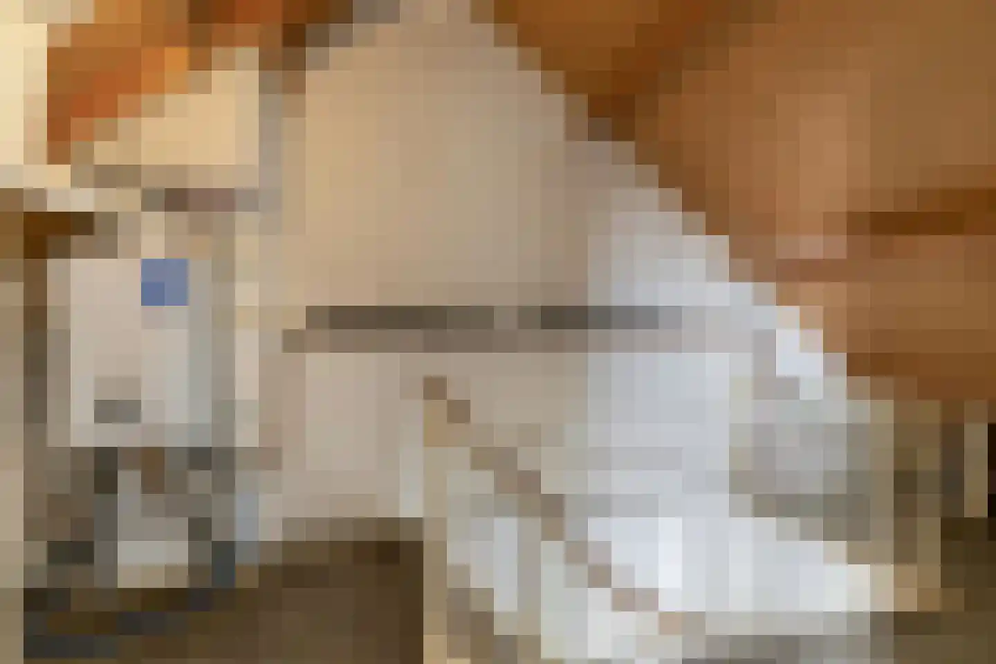 Beukenlaan 15 Etten-Leur thumbnail 29