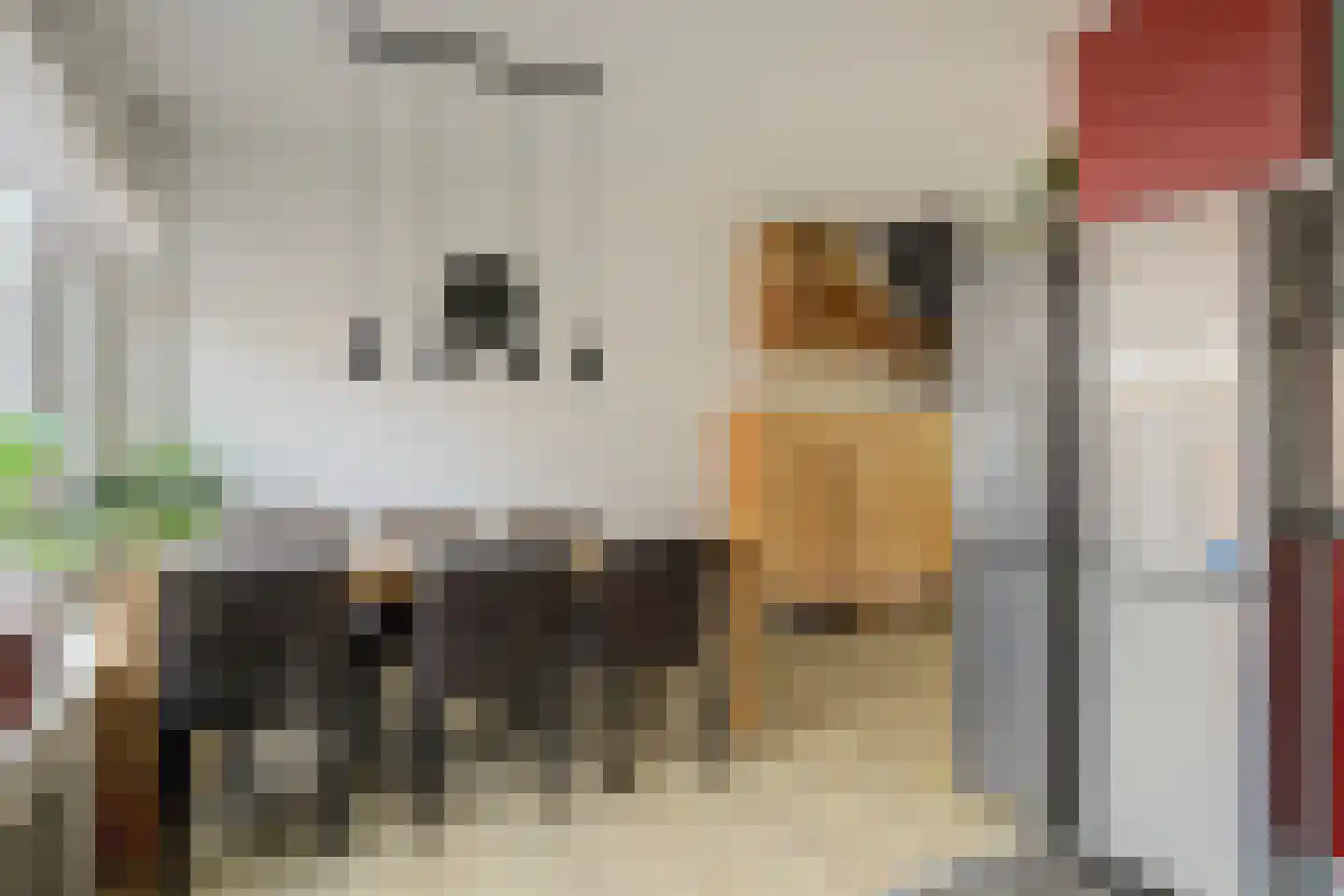 Beukenlaan 15 Grootebroek thumbnail 11