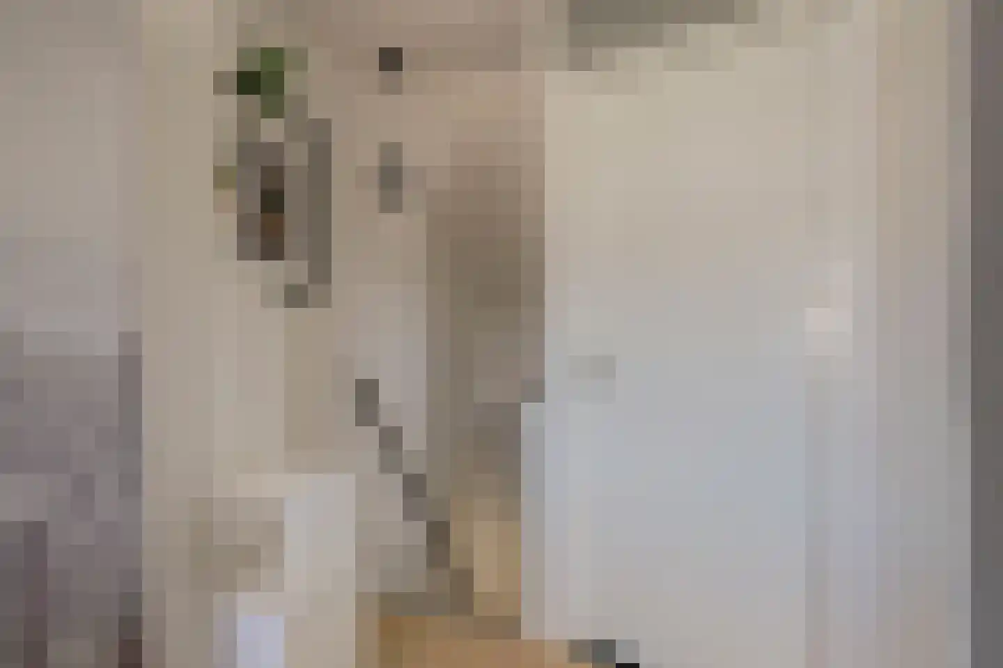 Beukenlaan 15 Grootebroek thumbnail 31