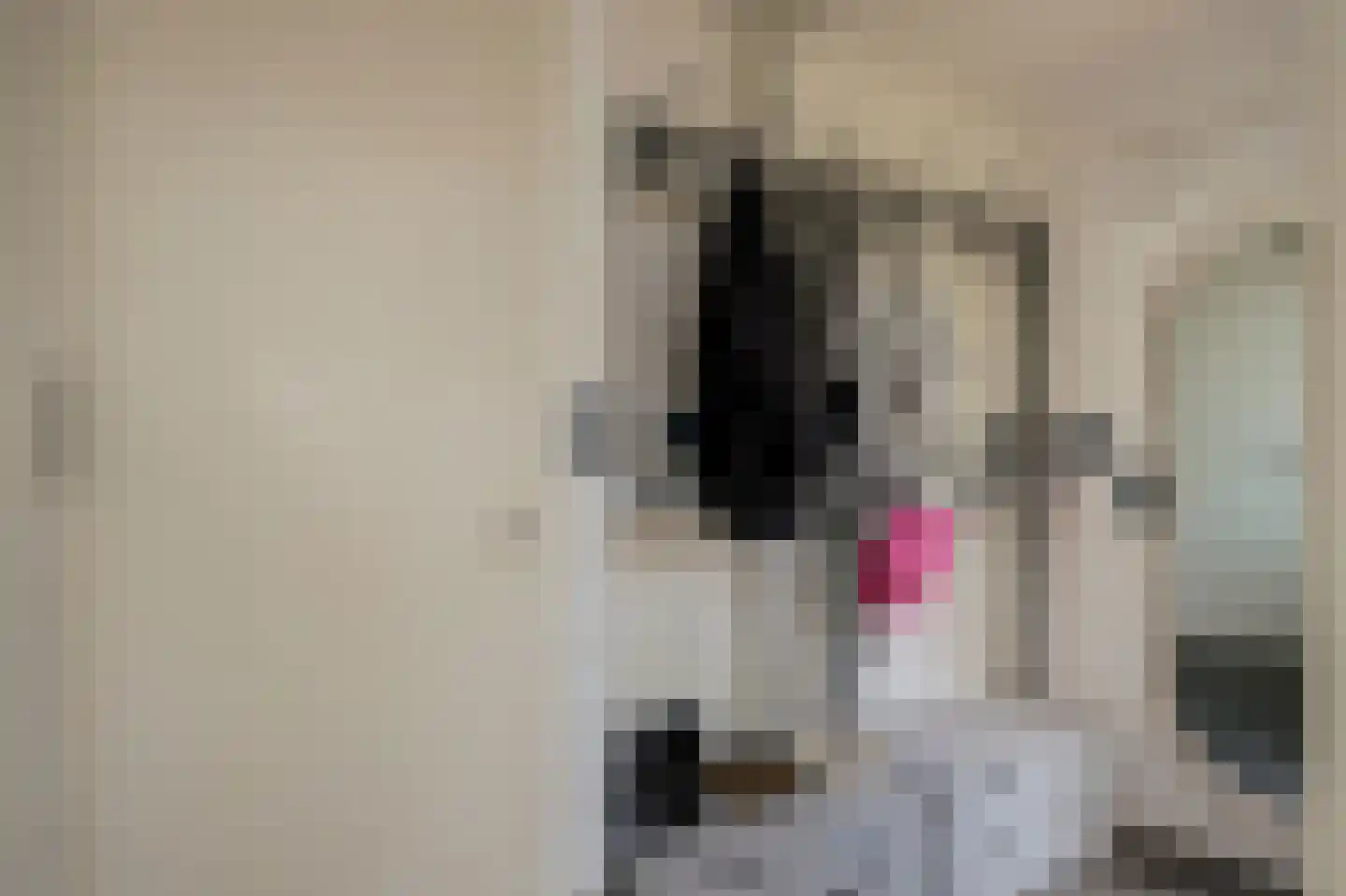 Beukenlaan 15 Grootebroek thumbnail 5