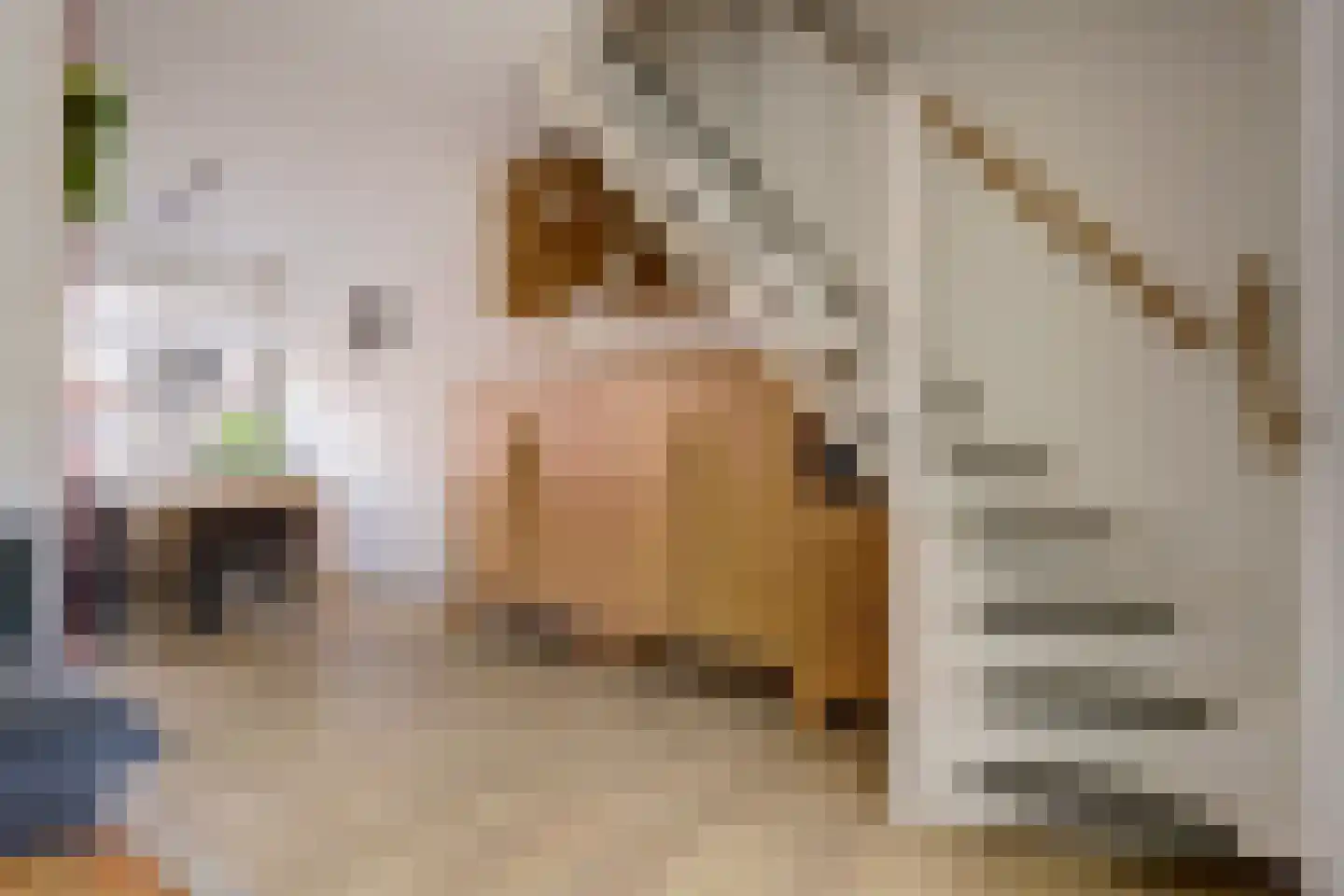 Beukenlaan 15 Grootebroek thumbnail 9