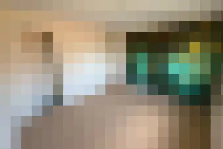 Beukenlaan 15 Hattem thumbnail 10