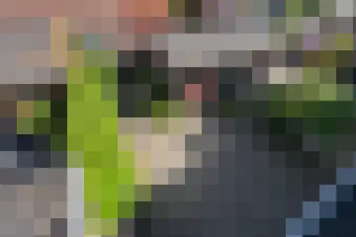 Beukenlaan 15 Hattem thumbnail 14
