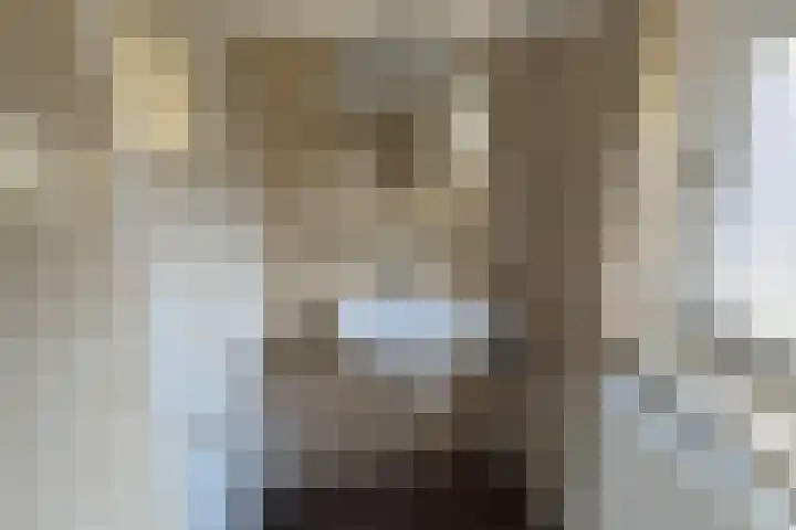 Beukenlaan 15 Hattem thumbnail 16