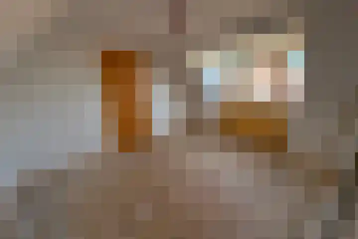 Beukenlaan 15 Hattem thumbnail 18