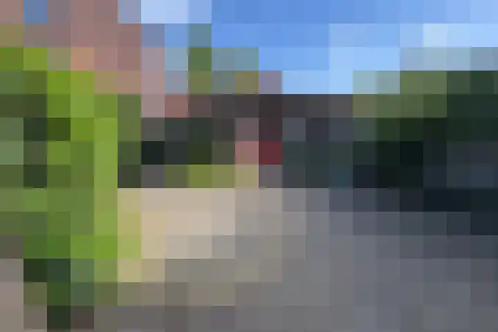 Beukenlaan 15 Hattem thumbnail 19