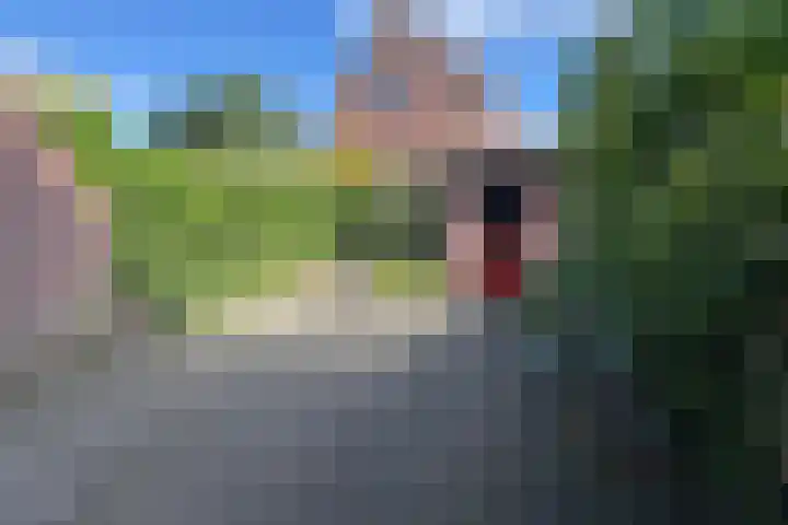 Beukenlaan 15 Hattem thumbnail 20