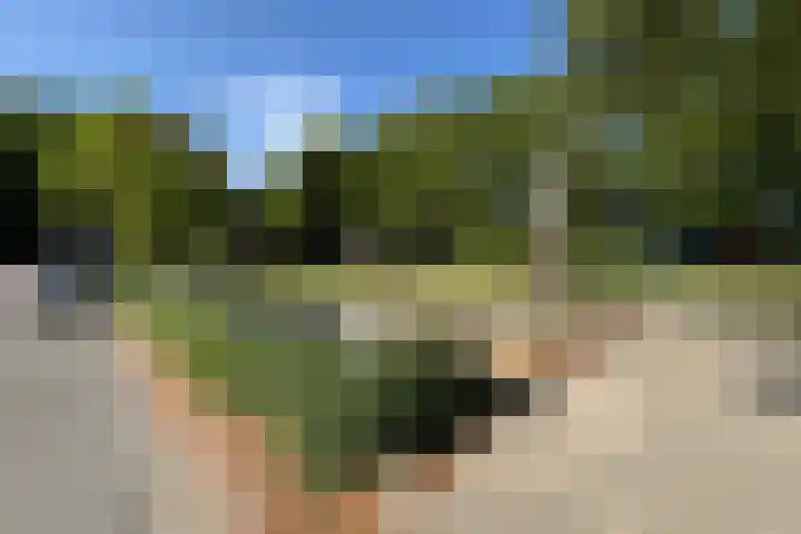 Beukenlaan 15 Hattem thumbnail 22