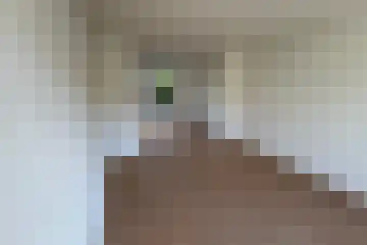 Beukenlaan 15 Hattem thumbnail 6
