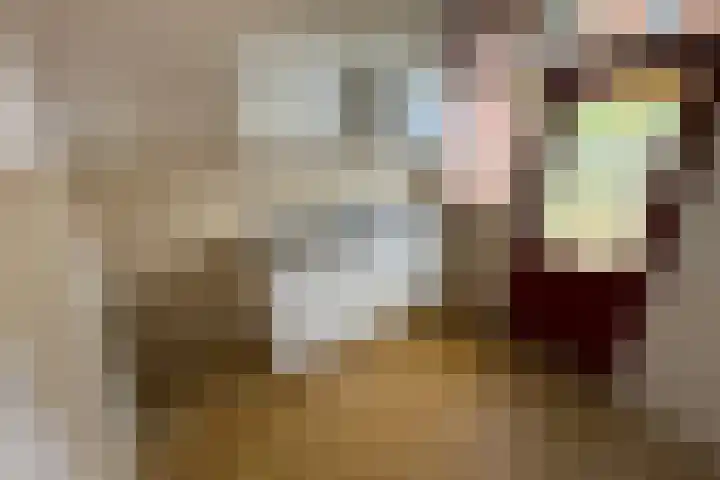 Beukenlaan 15 Hattem thumbnail 7