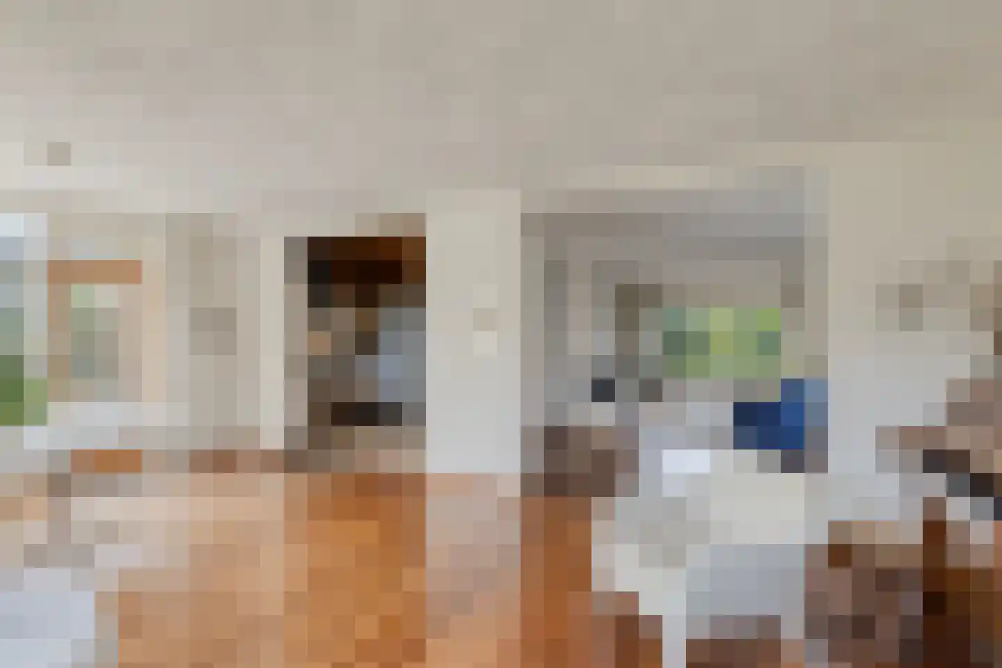 Beukenlaan 15 Rhenen thumbnail 16