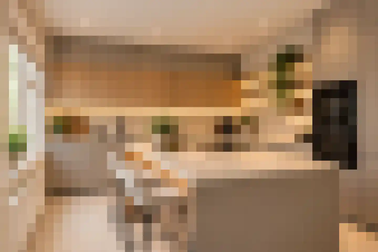 Beukenlaan 15 Rhenen thumbnail 17