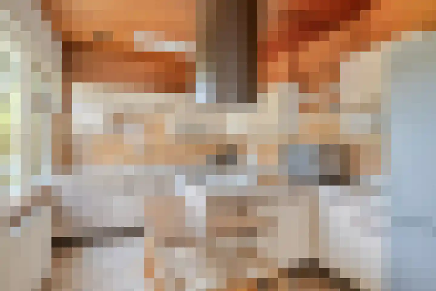 Beukenlaan 15 Rhenen thumbnail 18