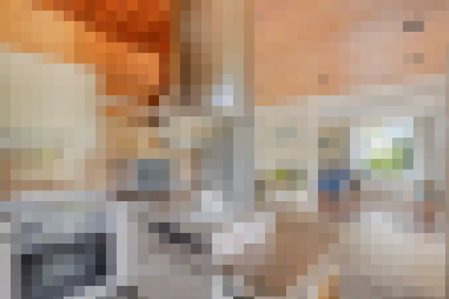 Beukenlaan 15 Rhenen thumbnail 19