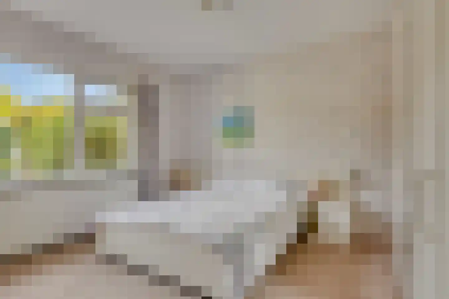 Beukenlaan 15 Rhenen thumbnail 21