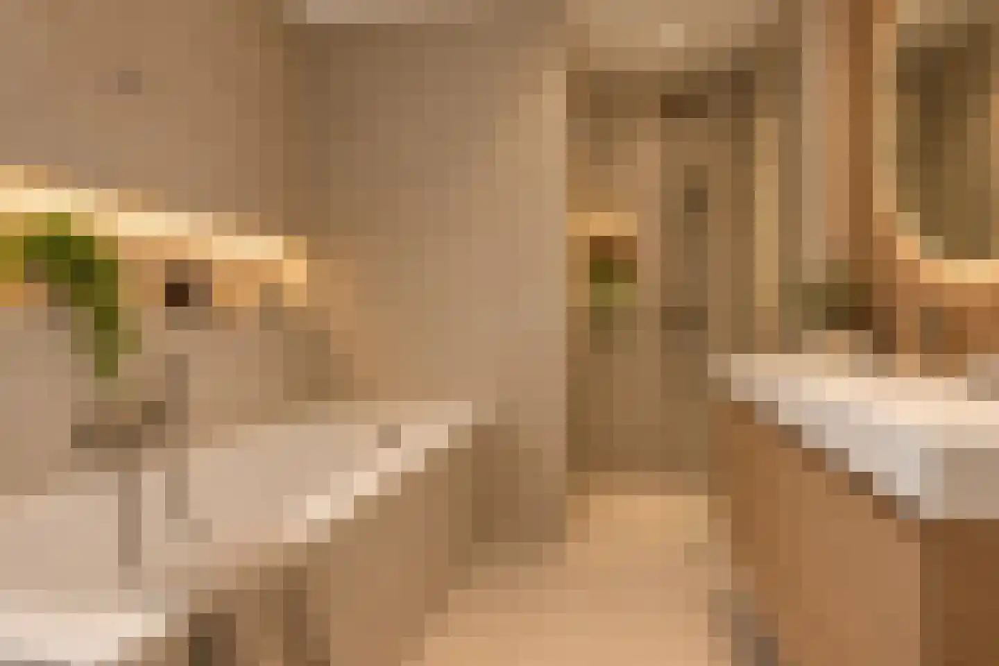Beukenlaan 15 Rhenen thumbnail 23