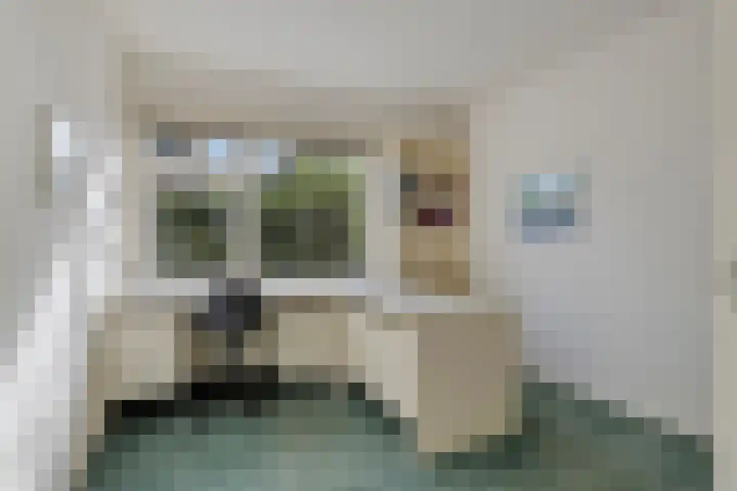 Beukenlaan 15 Rhenen thumbnail 27