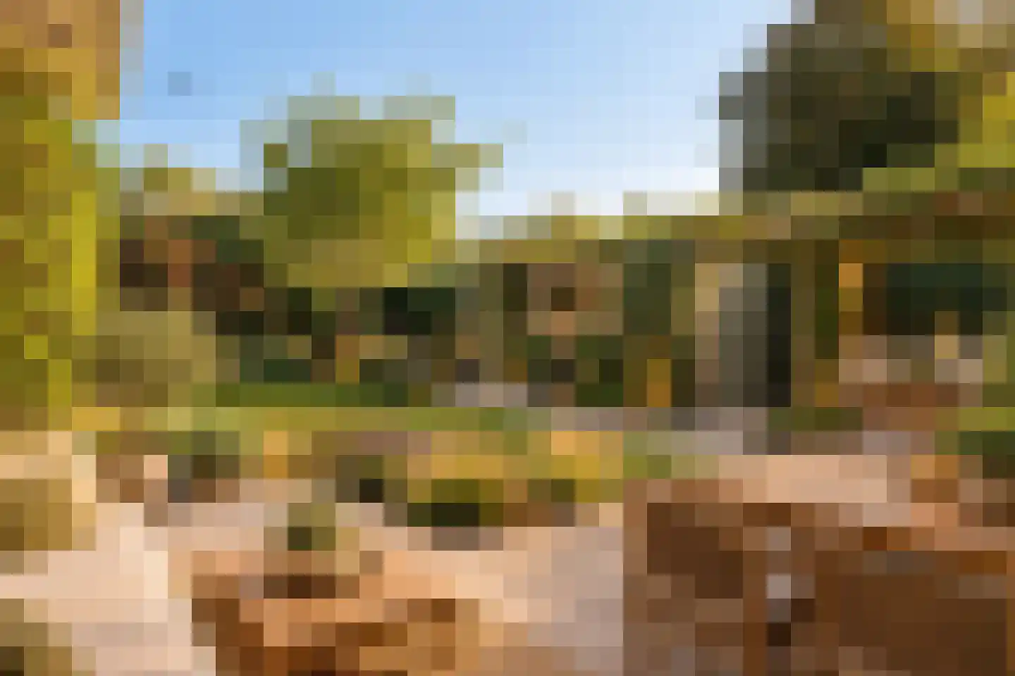 Beukenlaan 15 Rhenen thumbnail 36