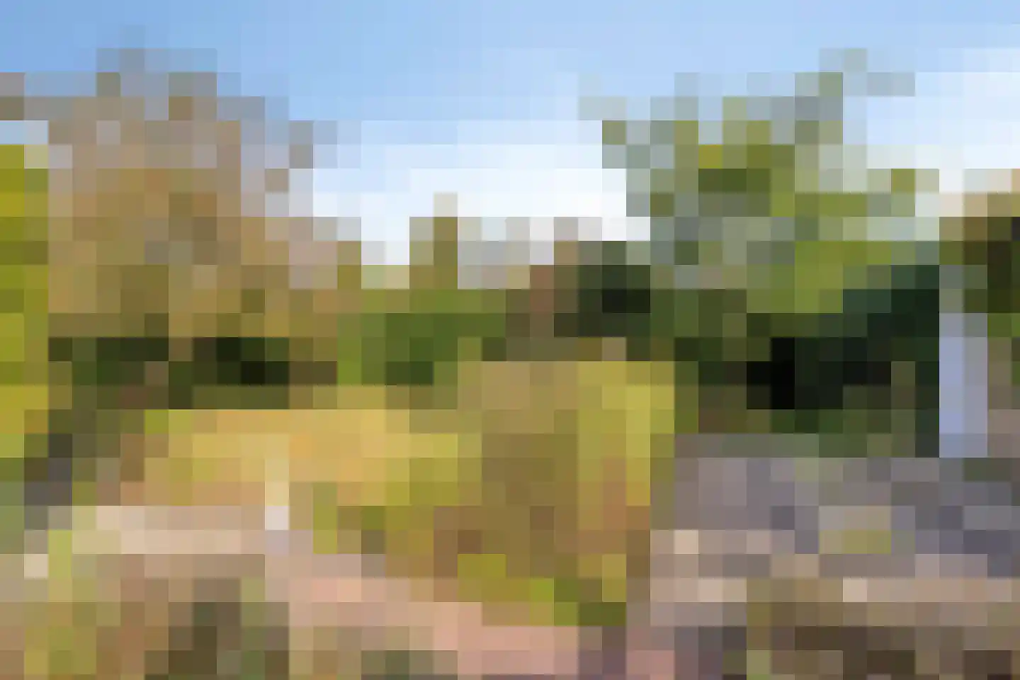 Beukenlaan 15 Rhenen thumbnail 38