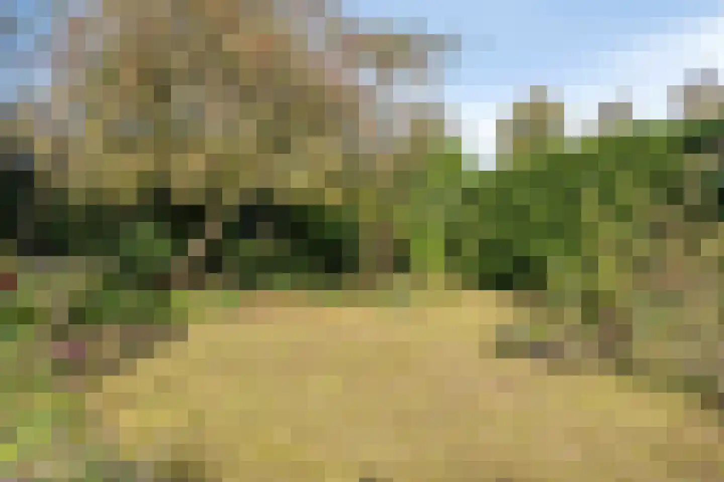 Beukenlaan 15 Rhenen thumbnail 39