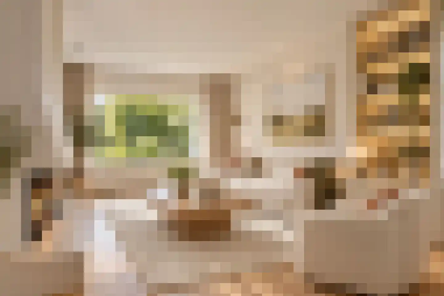 Beukenlaan 15 Rhenen thumbnail 4