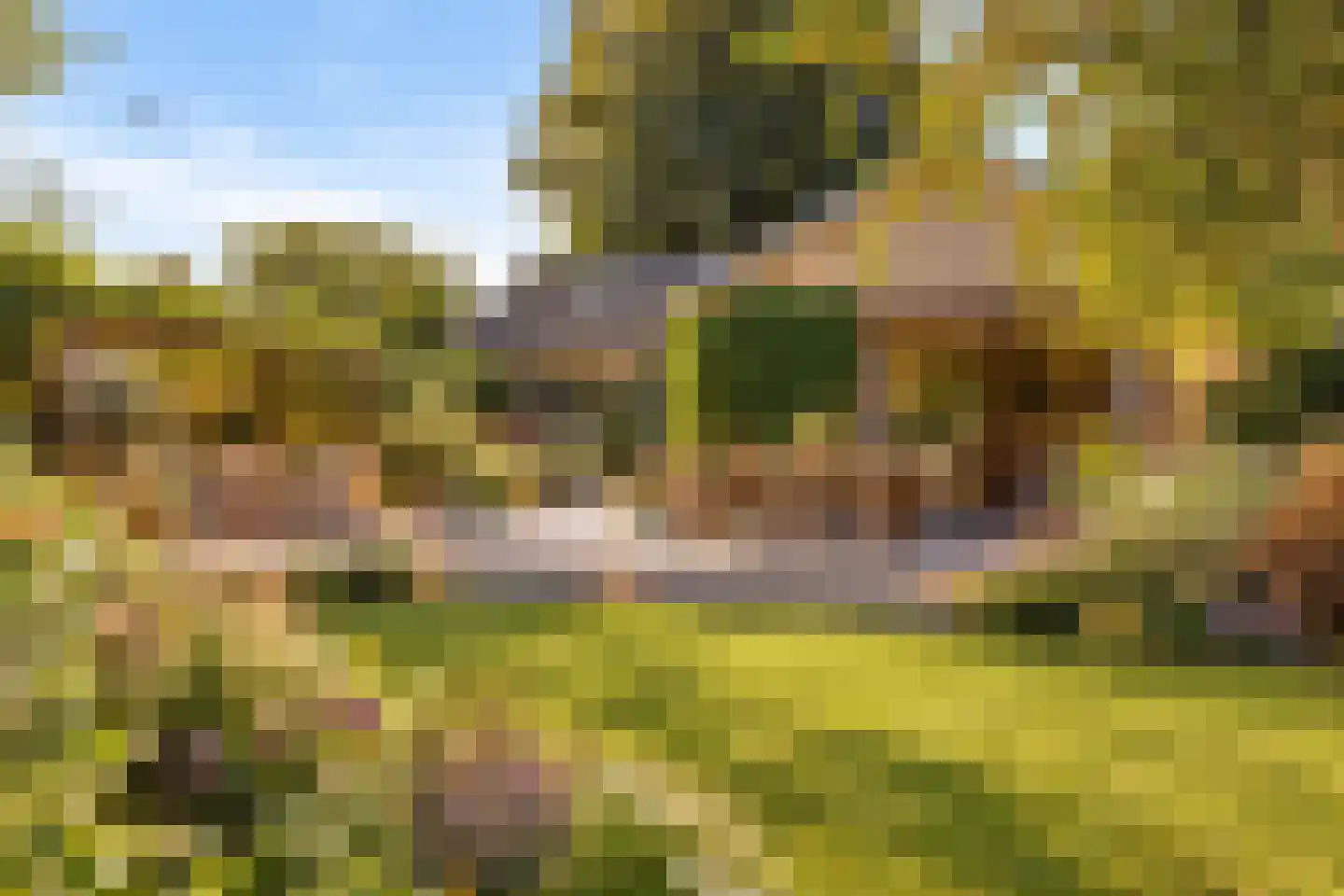 Beukenlaan 15 Rhenen thumbnail 40