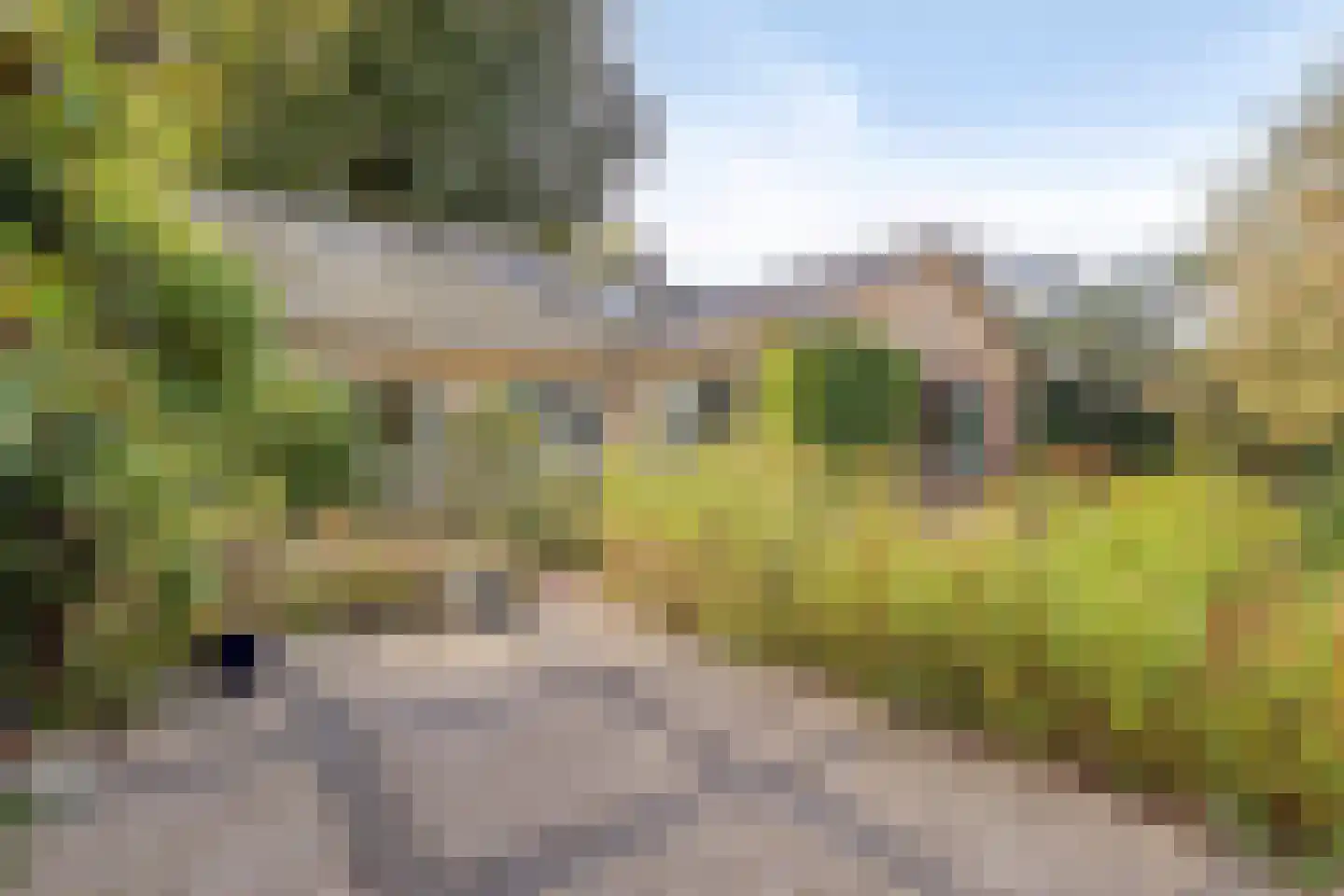 Beukenlaan 15 Rhenen thumbnail 42