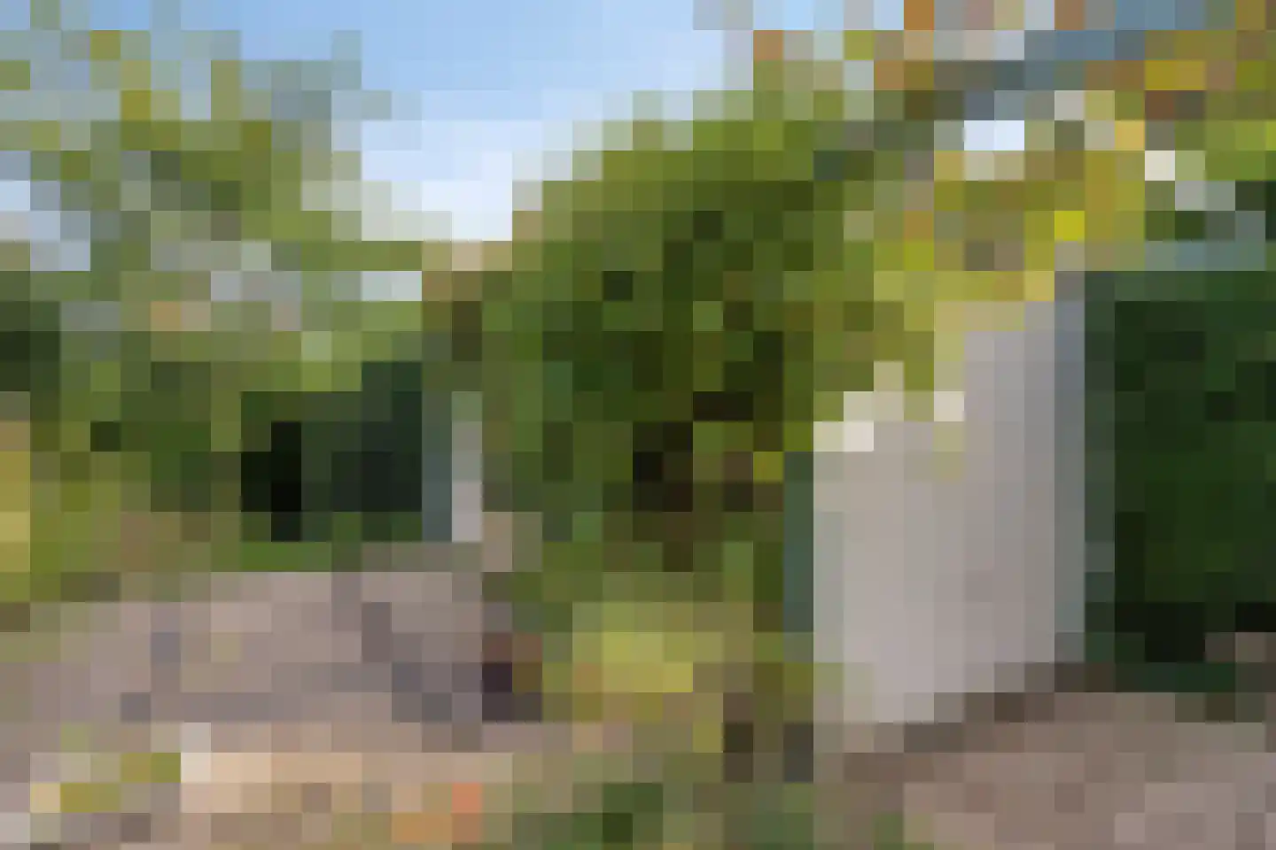 Beukenlaan 15 Rhenen thumbnail 43