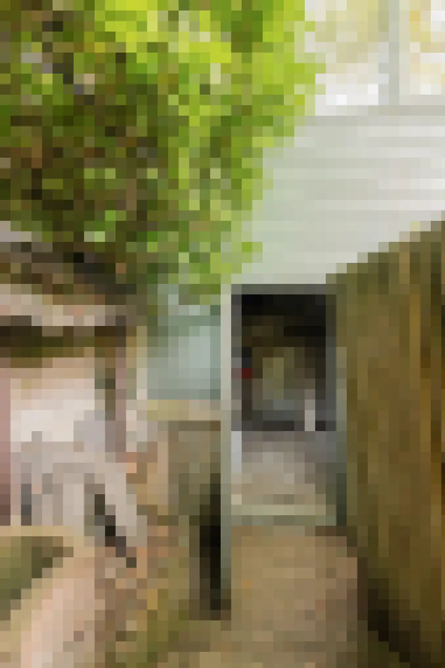 Beukenlaan 15 Rhenen thumbnail 44