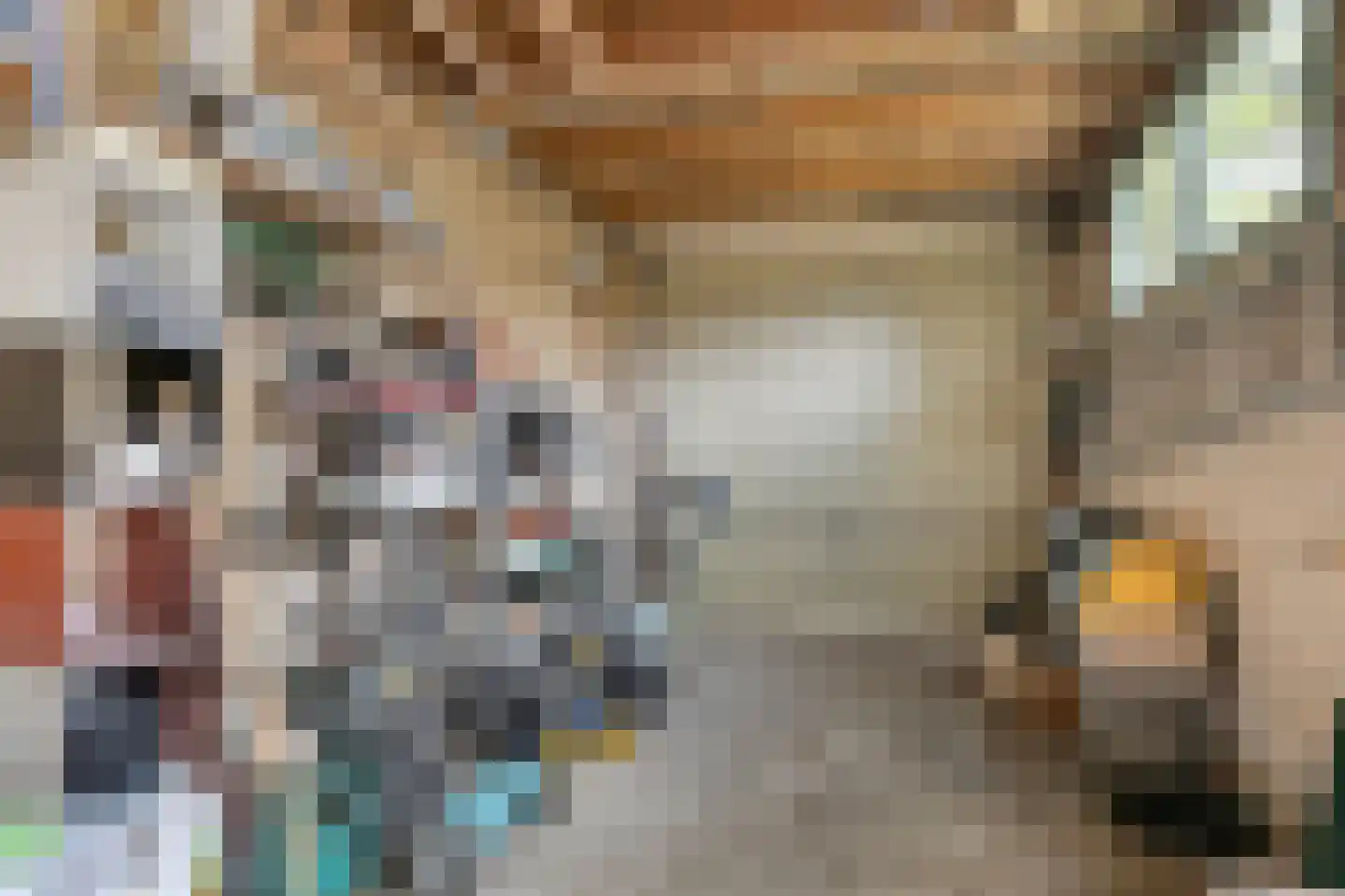 Beukenlaan 15 Rhenen thumbnail 47